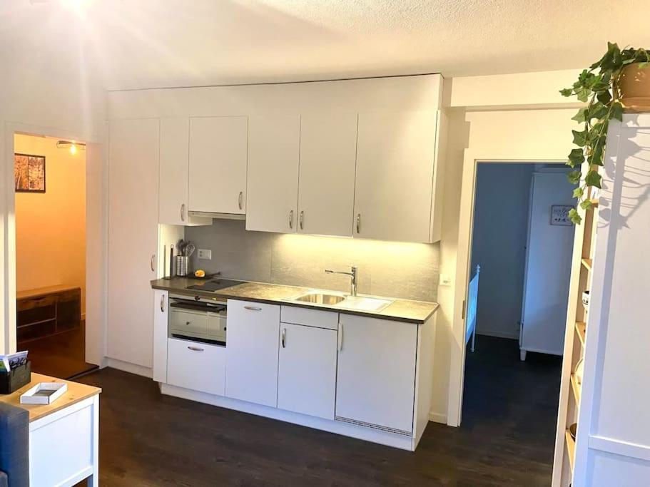 Beautiful Flat With Nice Lake And Mountain Views Weggis Exterior foto
