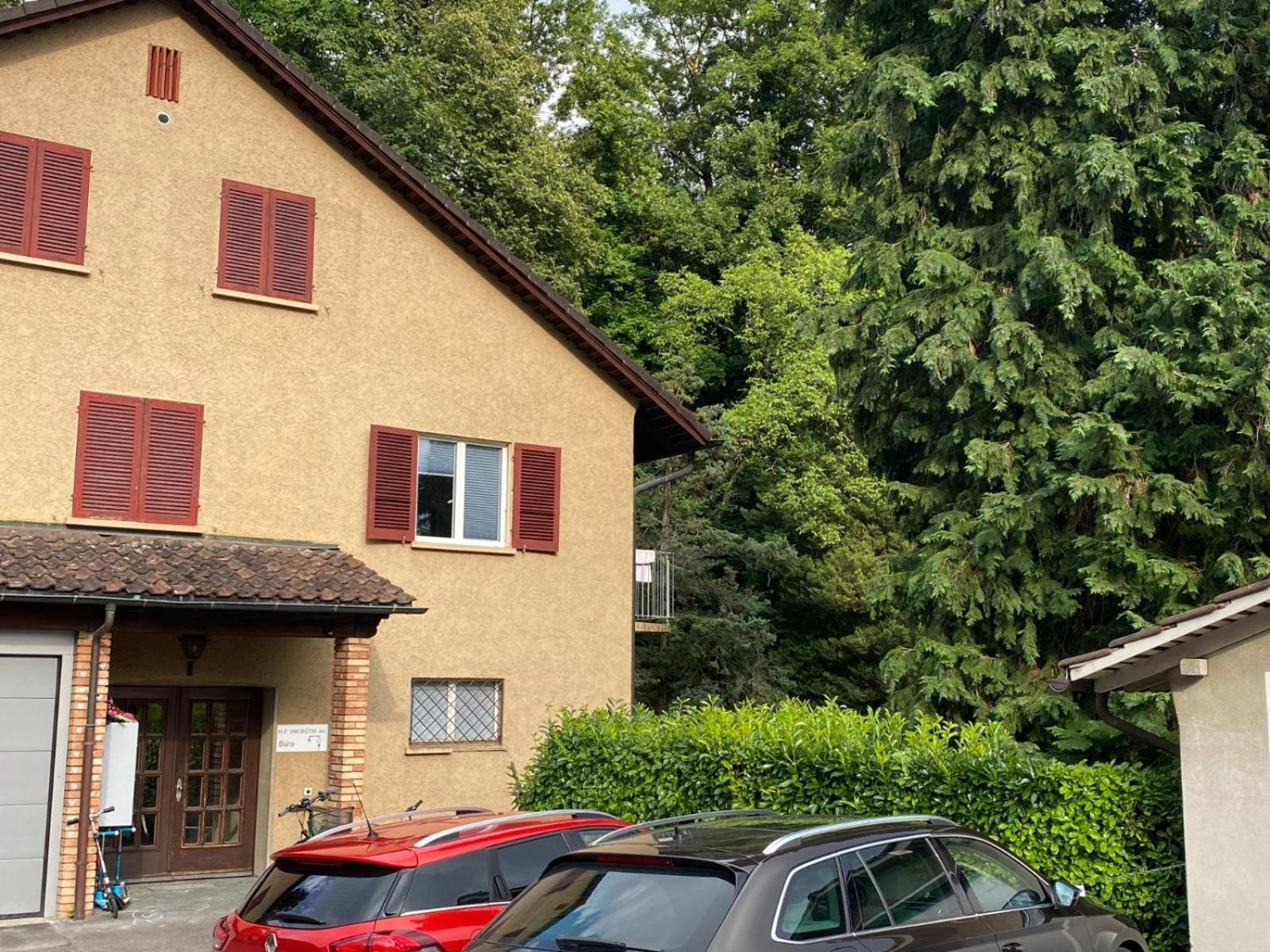 Beautiful Flat With Nice Lake And Mountain Views Weggis Exterior foto